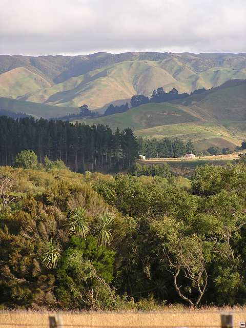 NZ leden-unor 2006 091.jpg